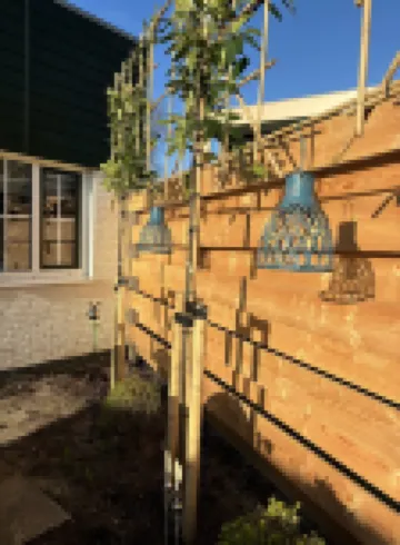 Strand, zee, duinen en bollenvelden. Een unieke plek om te genieten.