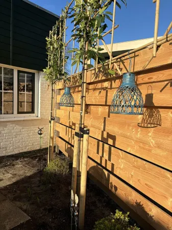 Strand, zee, duinen en bollenvelden. Een unieke plek om te genieten.