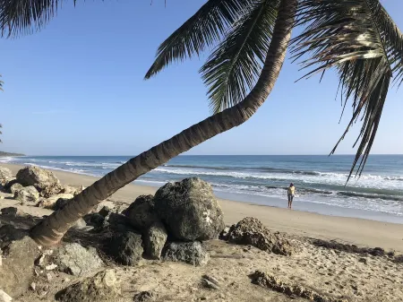 Authentic Beachfront Caribbean Hideaway-Crashing Surf, Palms, & Tradewinds!