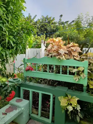 Tropical Blossom Apt. with washer, T.V, a/c,wi-fi فنادق في 