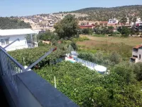 سولو بانسيون - بيوت ضيافة