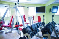 Retro Hotel Villa Ostrava - Gym