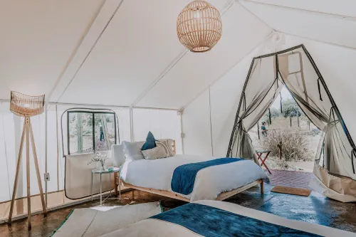 Salterra Glamping - Homestays
