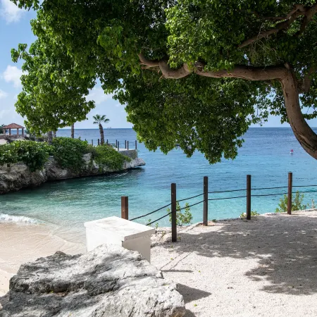 Dreams Curacao Resort, Spa & Casino - All Inclusive