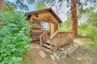 Minnehaha Allenspark Cabin Near Hiking! - Apartments