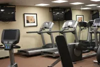 DoubleTree by Hilton Hotel Boston - Milford - Træningscentre