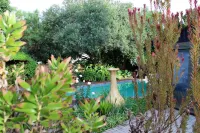Ukarimu Guest House - Pools
