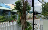 Chi Hieu Homestay Hoteles en 
