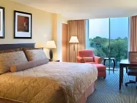 Hilton Houston Westchase Hotels in Houston