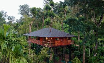 Tranquil Resort – BluSalzz Collection, Wayanad – Kerala