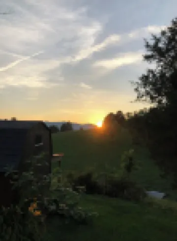 Harrogate Home Mountain View’s Dog Friendly