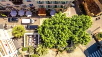 Hotel les Palmiers Hotel in zona Eglise Sainte-Maxime