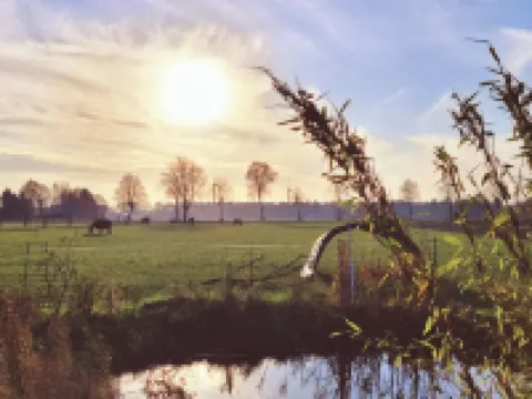 Geräumige Ferienwohnung mit 2 Schlafzimmern, 2 Bädern und Garten Hotels in Walsrode