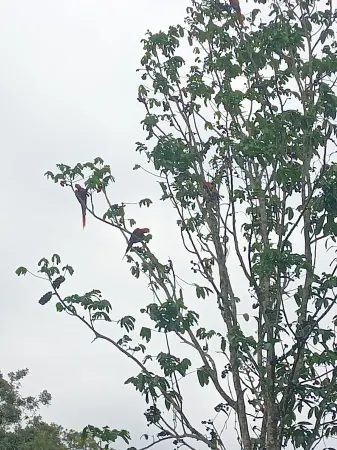 Charming 2-bedroom villa in peaceful Provincia de Alajuela with AC, WiFi Отели рядом с достопримечательностью «Rotonda Florencia de San Carlos. PUNTO DE REFERENCIA.»