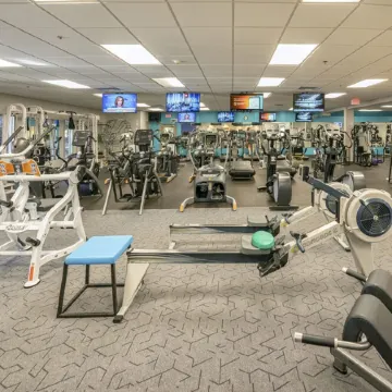 Luxury Keowee Key Condo: Lakefront Retreat Near Clemson