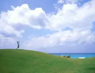 Beautiful Ocean Front Coral Gardens- Grace Bay Beach, 2 Bedroom, Sleeps 6