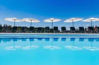 YOUness WELLness Clinic & Retreats Отели в г. Концешти