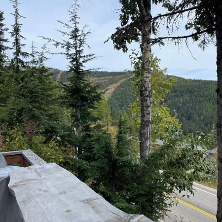 Alpine Haus Cabin • Hot Tub • Views • Close to Schweitzer Village!