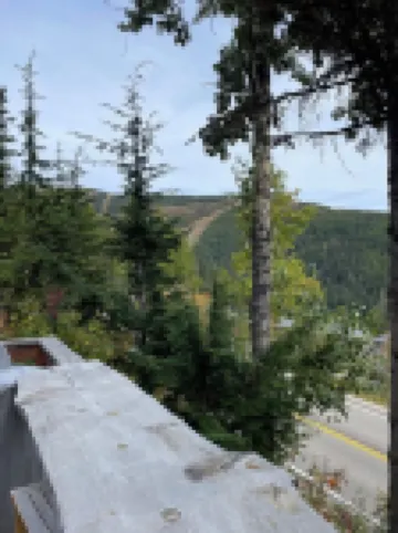 Alpine Haus Cabin • Hot Tub • Views • Close to Schweitzer Village!