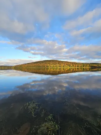 NEW charming 2-bedroom house in Pleasant Mount