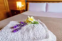 VV EL DRAGO IN FINCA ECOLOGICA LA ESPIRAL, NATURE, CALM, AND SEA VIEW Hotels in Los Realejos