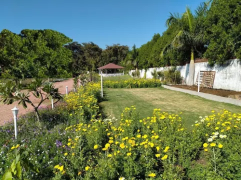 Experience Nature’s Charm: Unique Treehouse Stay by a Scenic Lake!