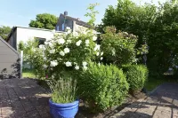 Idyllically Located, Comfortably Furnished and Renovated Holiday Apartment Hotels in Wyk auf Fohr