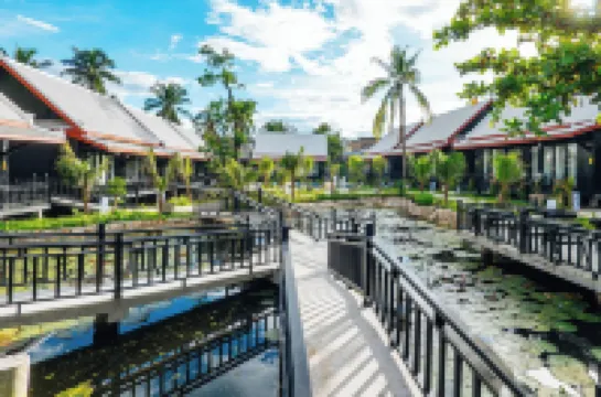 琅勃拉邦含羞草花園