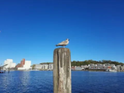 Stylish Ground-Floor Stay