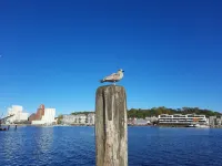 스타일리시한 1층 숙소