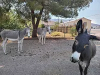 Death Valley Gateway -Suite B Các khách sạn ở Beatty