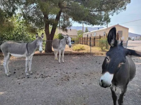 Death Valley Gateway -Suite B