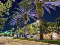 Centrally located in Coral Gables. Walk to shops and restaurants Hotels in Coral Gables