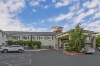 Best Western Plus Vintage Valley Inn