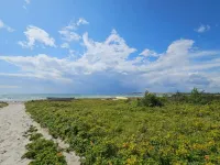 Luxury Retreat by Beach - By Traum Ferienwohnungen Hotels in Knebel