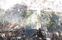 Hill Country getaway - Next to Hamilton Pool