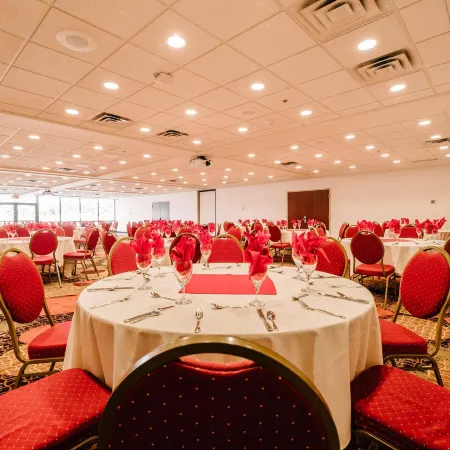 Radisson Hotel St. Paul Downtown