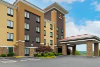 Comfort Suites Hotels in Sullivan County