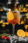 奧薩達斯涅茲卡酒店 - 酒吧