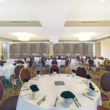 Holiday Inn Memphis-Downtown (Beale ST by IHG