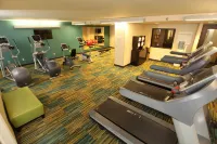 Holiday Inn & Suites DULUTH-DOWNTOWN by IHG - Gym