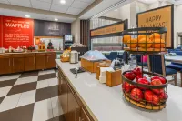 Hampton Inn & Suites Selma-San Antonio-Randolph AFB Texas Hotels in Selma