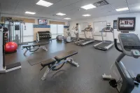 Hampton Inn & Suites Selma-San Antonio-Randolph AFB Texas - Gym