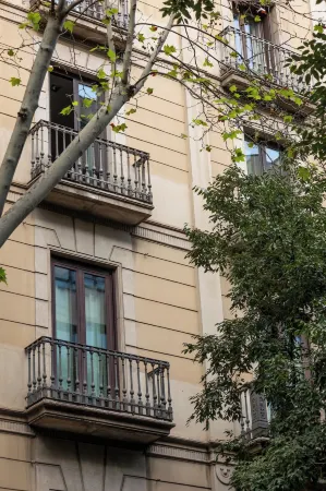 Colectia Stays Pau Claris