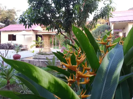 Bird of Paradise Bungalows