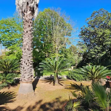 La Pineta