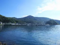Hamasaki
