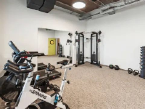 Ibis Styles Ljubljana the Fuzzy Log Hotels in Center District