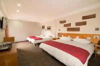 Hotel Pucón Indómito - Bintang 3