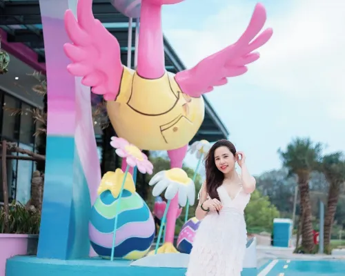 Flamingo Hải Tiến Xung quanh Photos